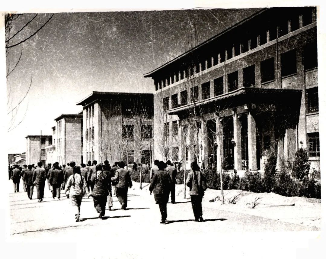 0D31C0042D56C56B258333D700C_334ABED9_2C5B6