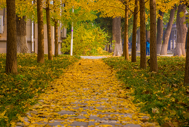 35C67EB6C01BB0DF9ABBF1D4DF6_15BAA75C_84424