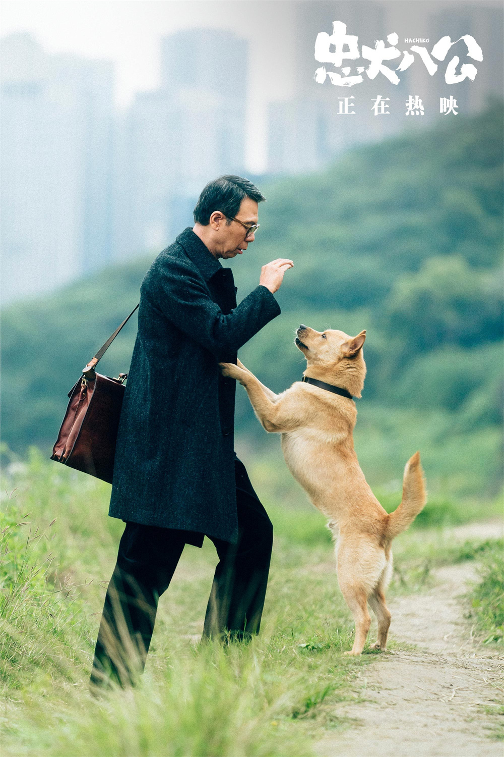 k豆钱包官方网站 - KDpay钱包