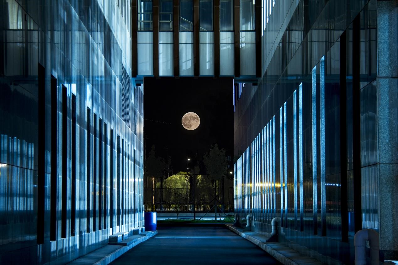 7F64F5267EC599519AA79441A21_1BEC5FD1_36918